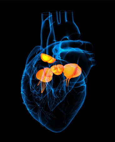 ΕΠΕΜΒΑΣΕΙΣ ΒΑΛΒΙΔΩΝ